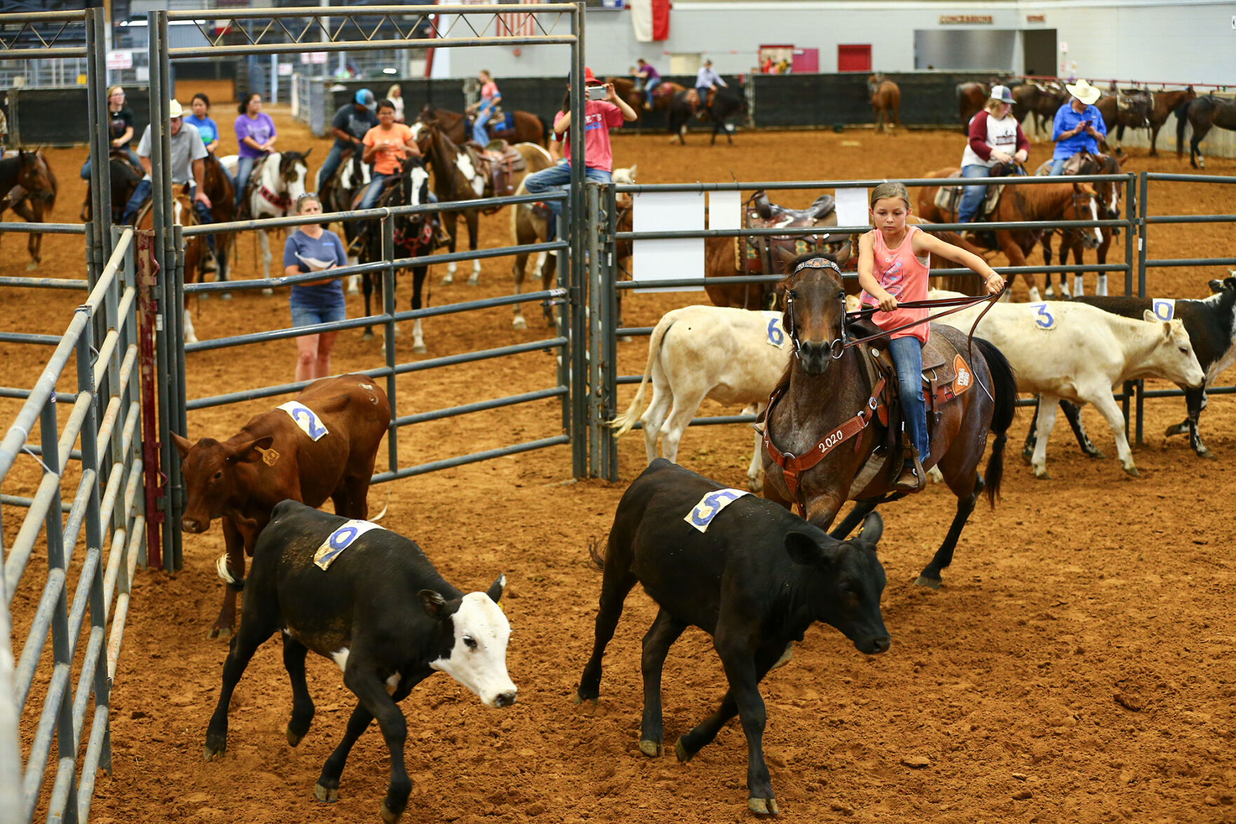 Ranch Sorting of America
